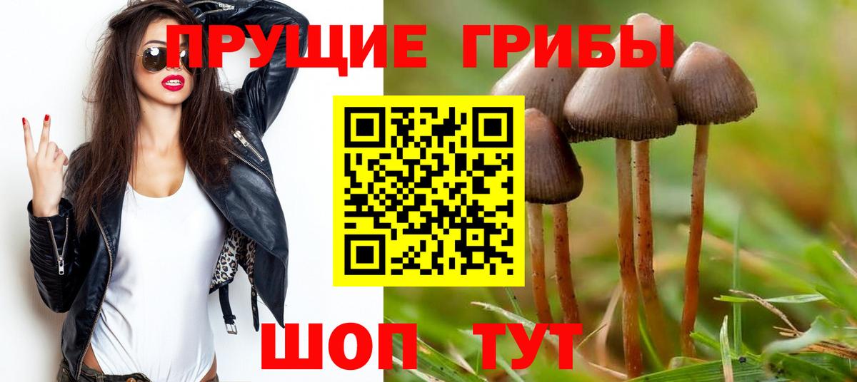Псилоцибиновые грибы Cubensis  Вход с VPN  Псилоцибиновые грибы мицелий  Мыски 