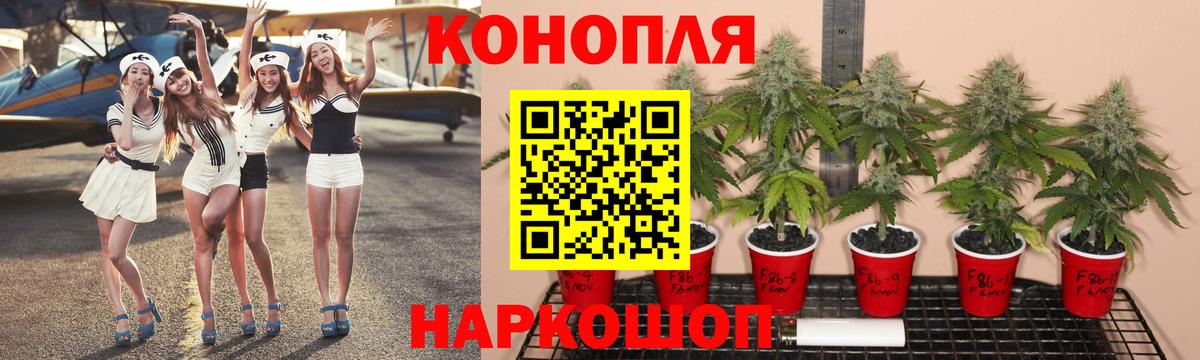 Альфа ПВП Мыски